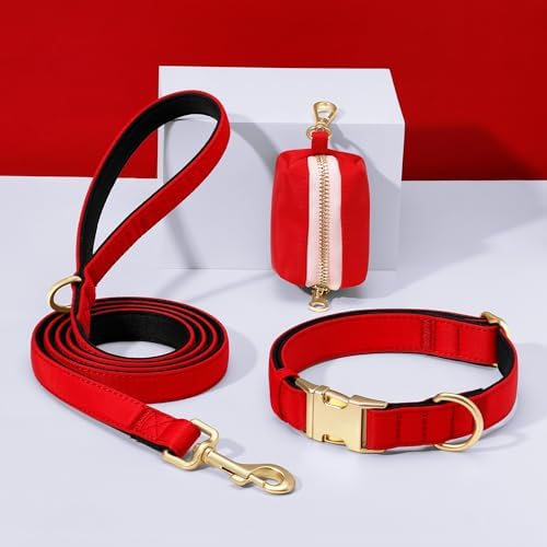 Didog Soft Padded Dog Collar for Medium Dogs, Red, M Neck 14-18"