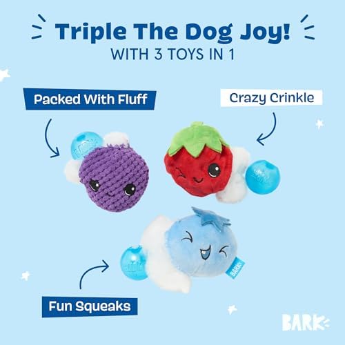 BarkBox Wild Berry Bunch 3-in-1 Interactive Plush Dog Toy