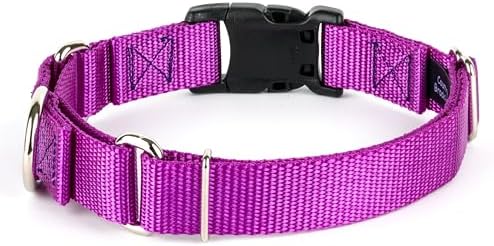 Martingale Dog Collar - Heavy Duty Nylon Adjustable Martingale Dog Collar with Plastic Buckle for Small Medium Large Breeds - 30+ Colors (1 Inch, Medium, Bright Purple)