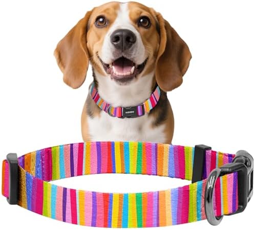 Kazazoo Dog Collar Cute and Soft Nylon Puppy Collar for Boy and Girl Dogs, Adjustable Dog Collars for Medium Dogs, Rainbow-M