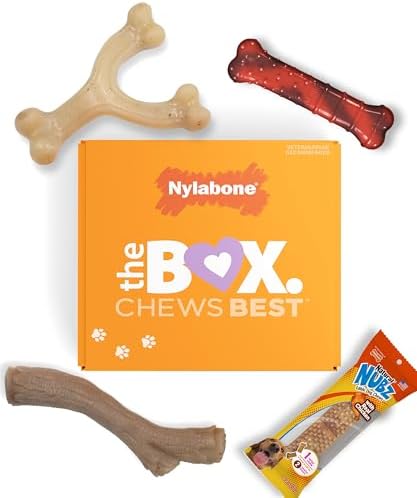 Nylabone Dog Gift Box, Strong Chew Toys & Treat, Small, 4 Count