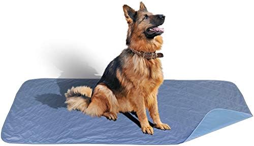 Careoutfit 36 x 72 - XXL Big Size Premium Stain Resistant Quick Absorbent Waterproof Reusable/Quilted Washable Large Dog/Puppy Training Travel Pee Pads