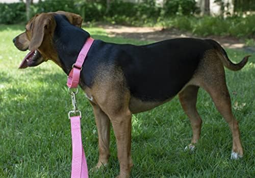 Martingale Dog Collar - Heavy Duty Nylon Adjustable Martingale Dog Collar with Plastic Buckle for Small Medium Large Breeds - 30+ Colors (1 Inch, Medium, Pink)