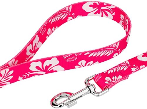 Country Brook Petz - Pink Hawaiian Everyday Dog Leash - Summer Breeze Collection Featuring Sunny Designs (4 Foot, 3/8 Inch Wide)