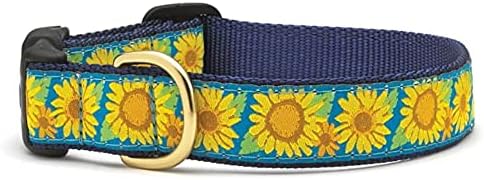 Up Country Bright Sunflower Dog Collar, Small (9 to 15 inches) 5/8 inch Narrow Width