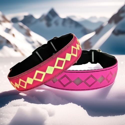Personalized Flashing Dog Collar with Laser Engraved ID Tag