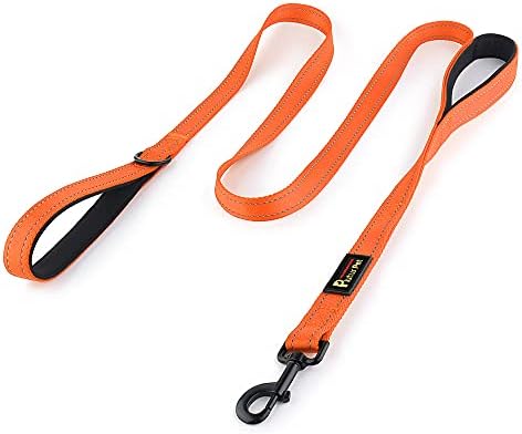 Plutus Pet Double Handle Dog Leash, 4 FT Long, for Medium Large Dogs