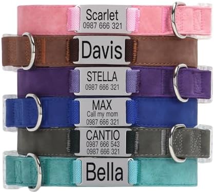 Custom Dog Collar with Engraved Metal Nameplates