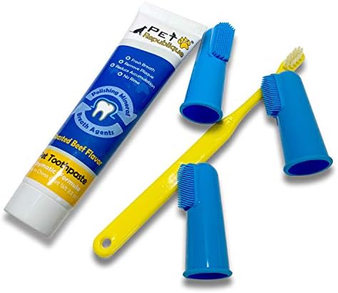 Pet Republique Enzymatic Dog Toothpaste Kit with Finger Toothbrushes Cats and Dogs Dental Cleaning Kit - 3.5 oz Beef Flavor Toothpaste, 3 Silicon Finger Toothbrushes, 1 Mini Handle Toothbrush