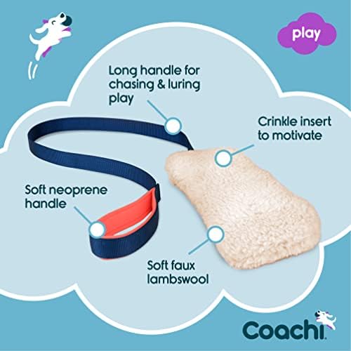 Coachi Chase & Crinkle - A Fun Enrichment Dog Toy for Chase & Play