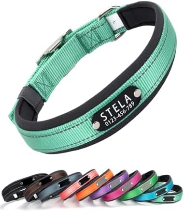Personalized Reflective Dog Collar with Silent ID Plate - Custom Engraved Pet Name & Phone Number, Nylon Basic Collar for Small Medium Large Dogs