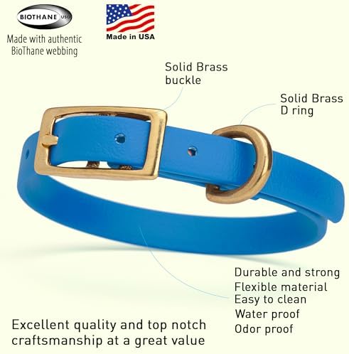 Viper Biothane Heavy Duty Waterproof Dog Collar Strong Coated Nylon Webbing w/Solid Brass Hardware Odor-Proof Easy to Clean High Performance Fits Small Medium or Large Dogs, Cerulean Blue