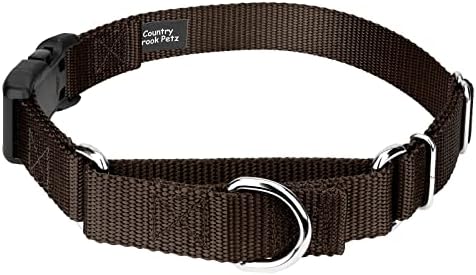 Martingale Dog Collar - Heavy Duty Nylon Adjustable Martingale Dog Collar with Plastic Buckle for Small Medium Large Breeds - 30+ Colors (3/4 Inch, Small, Brown)