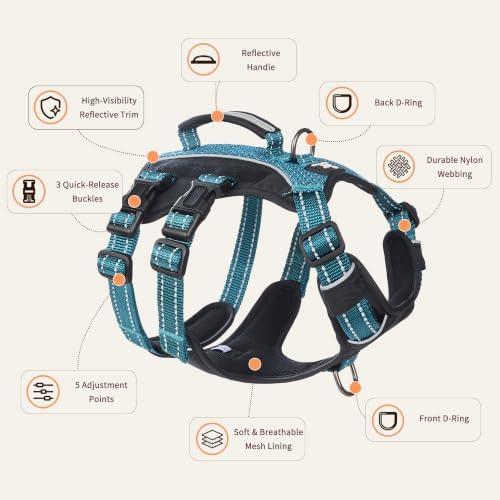 Huntboo Service Dog Vest Harness, Escape Proof Harness with 6 Patches, No-Pull, Reflective Harness with Handle, Adjustable for Small to Large Dogs, for Training and Hiking (Teal, L)