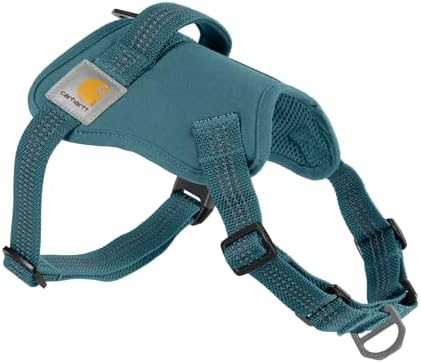 Carhartt Nylon Duck No Pull Dog Harness Harbor Teal M