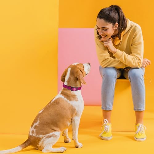 Dogline Biothane Waterproof Dog Collar Strong Coated Nylon Webbing with Black Hardware Odor- Proof for Easy Care Easy to Clean High Performance Fits Small Medium or Large Dogs, Magenta Pink
