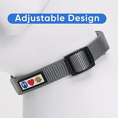 Pawtitas Solid Color Grey Puppy or Dog Collar, Small