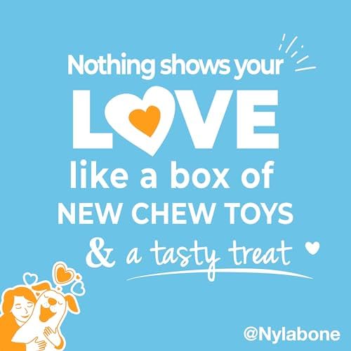 Nylabone Puppy Gift Box, Strong Chew Toys & Treat, Small, 4 Count