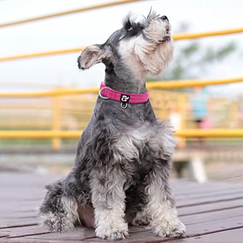 azuza Reflective Dog Collar, Neoprene Padded Small Dog Collar, Hot Pink, S