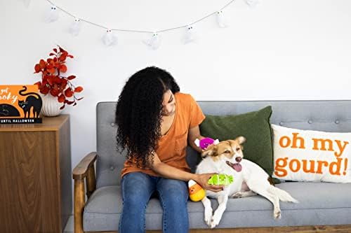Pearhead Plush Halloween Candy Dog Toys, Set of 3