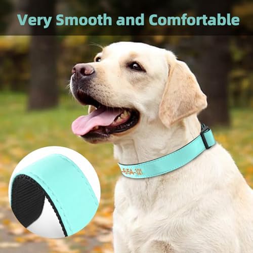 Kuley Personalized Dog Collar, Embroidered with Pet Name and Phone Number