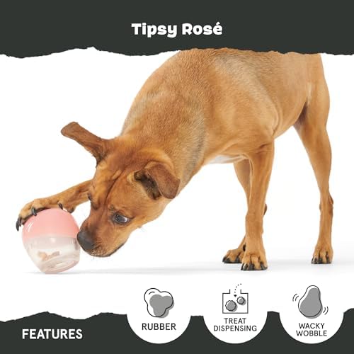 BarkBox Tipsy Rosé Dog Toy - Toy for Large Dogs