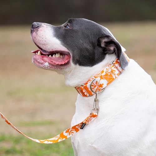 Country Brook Petz - Orange Hawaiian Everyday Dog Leash - Summer Breeze Collection Featuring Sunny Designs (4 Foot, 5/8 Inch Wide)