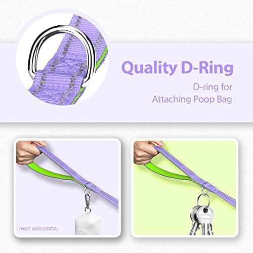 PHOEPET 5 Feet Dog Leash - Dual-Side Reflective - Soft Padded Handle