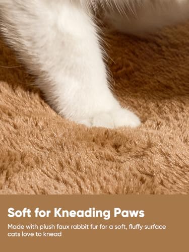 FUKUMARU Cat Cave Bed, 2-in-1 Enclosed Cat Bed for Indoor Cat, Cat Hideaway