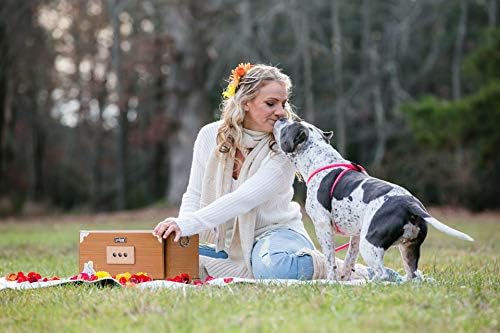 Harness Lead No Pull Dog Harness and Leash Set, Anti Pull Dog Harness for All Breeds and Sizes, One-Piece Cushioned Rope Design Safely Prevents Escaping and Pulling (Small/Medium, Pink)
