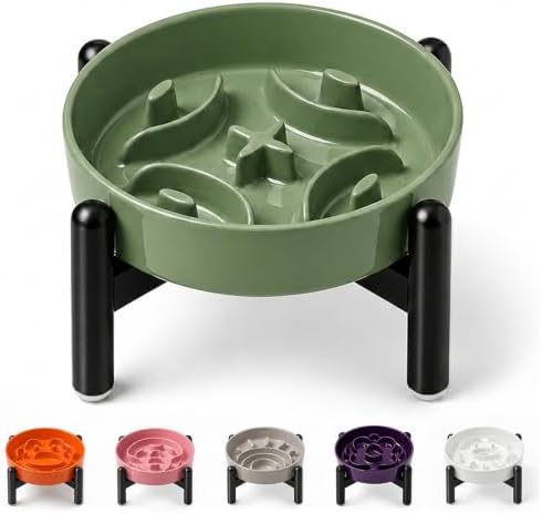 Elevated Slow Feeder Dog Bowl, 0.8 Cups Ceramic Raised Slow Feeder with Stainless Stand, 6.3 Inch Wide Lifted Dog Bowl for Small Breeds to Control Eating Speed, Green