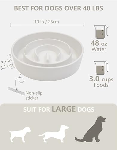 Ceramic Slow Feeder Bowls for Large Dogs, 3.0 Cups Slow Feeder for Fast Eaters, 48oz, 10in, White
