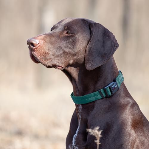 Dogline Dark Teal Nylon Collar (W: 1" L: 16"-24")