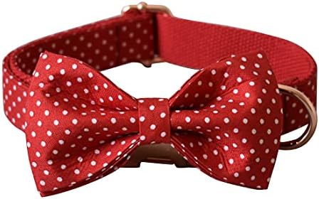 Custom Dog Collar with Names and Phone Number Engraved, Puppy Tags Personalized for Small Medium Large Pets