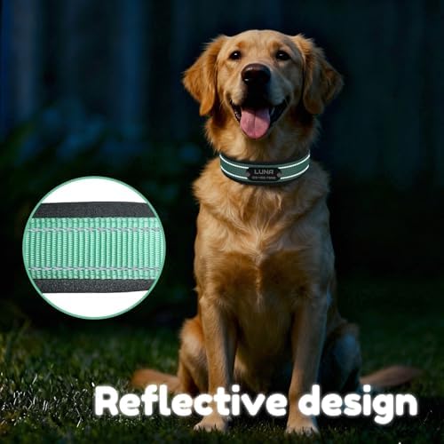Personalized Reflective Dog Collar with Name, Blue: XL