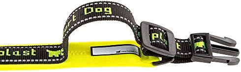 Ferplast Dog Collar Sport Dog, Large Reflective Nylon Collar with Soft Padding, Pet Name Tag, Size: 2.5 cm (35-45 cm), Yellow