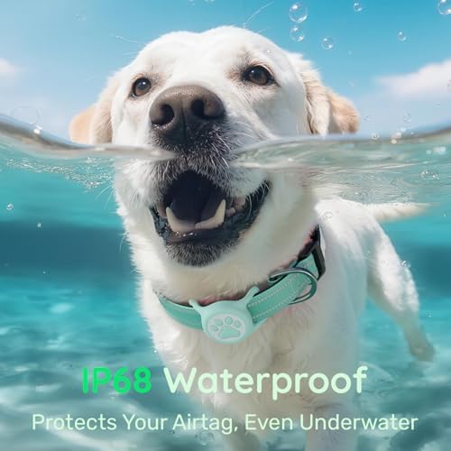 Premium Airtag Dog Collar，with IP68 Waterproof AirTag Holder,Green,S