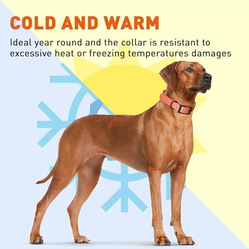 Dogline Biothane Waterproof Dog Collar Strong Coated Nylon Webbing with Black Hardware Odor- Proof for Easy Care Easy to Clean High Performance Fits Small Medium or Large Dogs, Coral