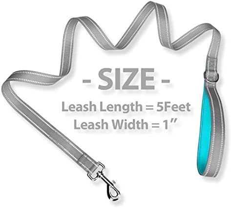 PHOEPET 5 Feet Dog Leash - Dual-Side Reflective - Soft Padded Handle