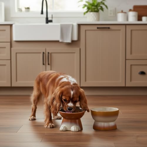 Nihow Dog Food & Water Bowls: Elevated Ceramic Bowls for Medium/Small Dog