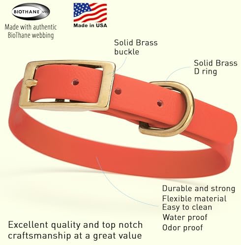 Viper Biothane Heavy Duty Waterproof Dog Collar Strong Coated Nylon Webbing w/Solid Brass Hardware Odor-Proof Easy to Clean High Performance Fits Small Medium or Large Dogs, Coral