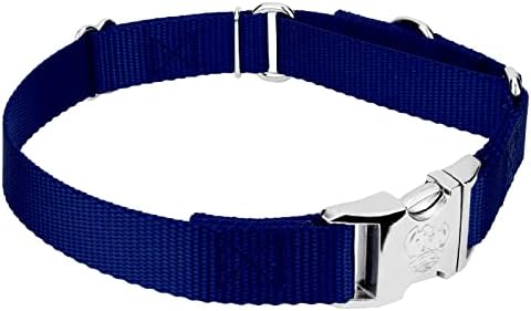 Country Brook Petz - Martingale Dog Collar - Heavy Duty Nylon Adjustable Martingale Dog Collar with Metal Buckle for Small Medium Large Breeds 30+ Color Options (1 Inch, Medium, Royal Blue)