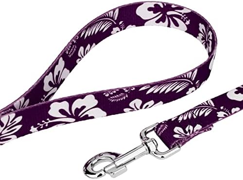 Country Brook Petz - Purple Hawaiian Everyday Dog Leash - Summer Breeze Collection Featuring Sunny Designs (6 Foot, 3/8 Inch Wide)