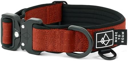 MADE TO ROAM Comfort Collar - Adjustable Nylon Dog Collar with Soft Comfortable Padding, Light Aviation Aluminum Metal Buckle for Small, Medium and Large Dogs (Texas Flair, Size 2)