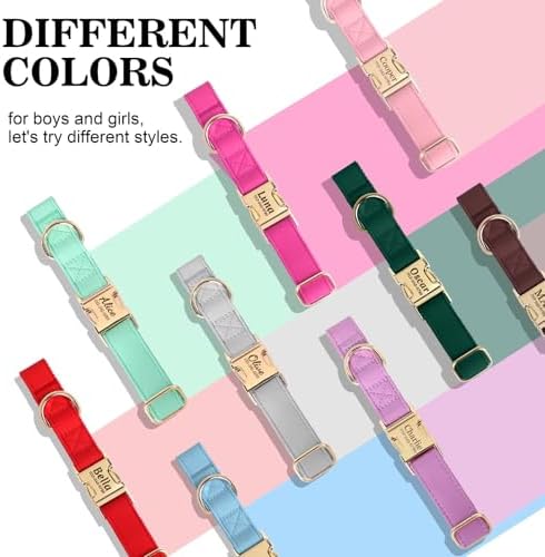 PET ARTIST Personalized Dog Collars, Custom Engraved Dog Collar with Silent Name Tag, Gold Quick Released Buckle & Soft Nylon Padded, Elegant Colors & Matching Leash for Medium Dogs,Gray,M Fit 13-19"