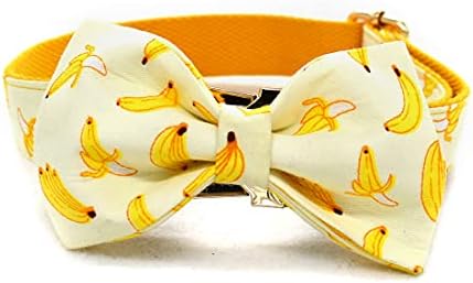 Custom Dog Collar with Names and Phone Number Engraved, Puppy Tags Personalized for Small Medium Large Pets