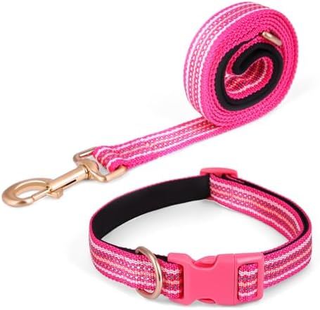Reflective Dog Collar and Leash Set, Nylon Dog Leash with Heavy-Duty Steel D-Ring, Adjustable with Quick Release Buckle for Small Dogs,Hot Pink S
