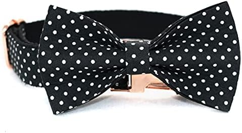 Custom Dog Collar with Names and Phone Number Engraved, Puppy Tags Personalized for Small Medium Large Pets