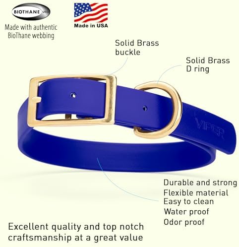 Viper Biothane Heavy Duty Waterproof Dog Collar Strong Coated Nylon Webbing w/Solid Brass Hardware Odor-Proof Easy to Clean High Performance Fits Small Medium or Large Dogs, Blueberry Royal