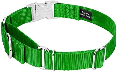 Country Brook Petz - Martingale Dog Collar - Heavy Duty Nylon Adjustable Martingale Dog Collar with Metal Buckle for Small Medium Large Breeds 30+ Color Options (3/4 Inch, Small, Hot Lime Green)